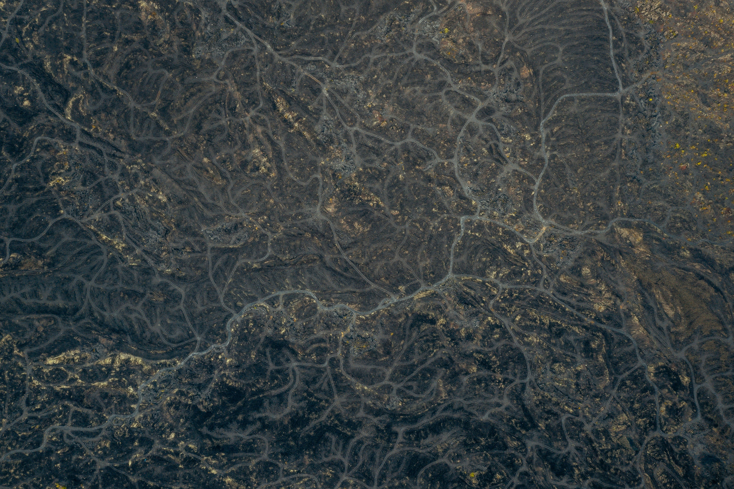 Wie Duft unser Zuhause verändert - und warum wir Kerzensand neu gedacht haben.